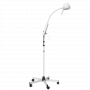 Lampe d'examen mobile avec bras en col de cygne et réglable en hauteur