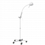 Lampe d'examen mobile avec bras flexible et tube fixe 