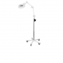/lampes-d-examens-/lampe-grossissante-a-led-avec-fixation-ou-sur-roulettes-p-4000570.1-600x600.jpg