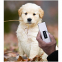 /lecteur-de-puces-pour-animaux/mini-lecteur-de-puce-rt10mt-pour-puces-fdxb-p-4002883.1-600x600.jpg