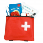 Kit de Premiers Secours pour Chiens et Chats – Santé et Sécurité