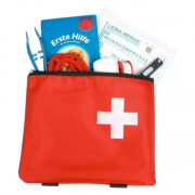Kit de Premiers Secours pour Chiens et Chats – Santé et Sécurité