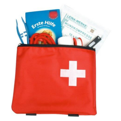 Kit de Premiers Secours pour Chiens et Chats – Santé et Sécurité