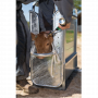 /materiel-d-elevage/ecorneur-a-gaz-pour-bovins-p-4004071.2-600x600.png