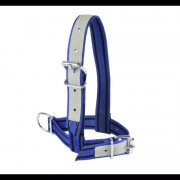 Licol bleu pour veau 