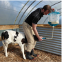 /materiel-d-elevage/sacs-pour-colostrum-avec-embout-et-tube-antahi-p-4004037.2-600x600.png