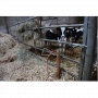 /materiel-d-elevage/support-de-contention-pour-bovins-et-ovins-p-4004067.1-600x600.png