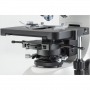 /microscopes/microscope-de-contraste-de-phase-trinoculaire-p-4001884.2-600x600.jpg