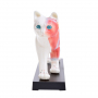 /modeles-d-acupuncture-veterinaires/modele-d-acupuncture-chat-en-deux-parties-points-cles-et-anatomie-interne-formation-veterinaire-p-4001570.1-600x600.jpg