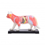/modeles-d-acupuncture-veterinaires/modele-d-acupuncture-chat-en-deux-parties-points-cles-et-anatomie-interne-formation-veterinaire-p-4001570.2-600x600.jpg