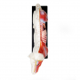 /modeles-d-acupuncture-veterinaires/modele-d-acupuncture-chien-en-deux-parties-points-cles-et-anatomie-interne-formation-veterinaire-p-4001569.2-600x600.jpg