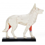 Modèle d'acupuncture de chien en 2 parties