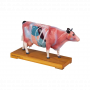 /modeles-d-acupuncture-veterinaires/modele-d-acupuncture-de-vache-p-4004404.1-600x600.png