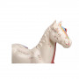 /modeles-d-acupuncture-veterinaires/modele-d-acupuncture-du-cheval-de-25-cm-p-4003962.1-600x600.jpg