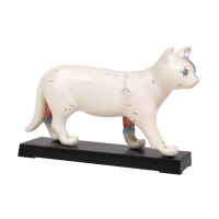 Modèle d'acupuncture pour chat