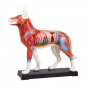 /modeles-d-acupuncture-veterinaires/modele-d-acupuncture-pour-chien-p-4004396.1-600x600.png