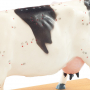/modeles-d-acupuncture-veterinaires/modele-d-acupuncture-vache-en-deux-parties-points-cles-et-anatomie-interne-formation-veterinaire-p-4001572.2-600x600.jpg