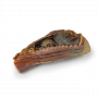 /modeles-d-anatomie-veterinaires-/cavite-thoracique-canine-cote-droit-p-4004143.1-600x600.png