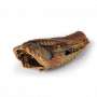 /modeles-d-anatomie-veterinaires-/cavite-thoracique-canine-cote-droit-p-4004143.2-600x600.png