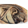 /modeles-d-anatomie-veterinaires-/cavite-thoracique-canine-cote-gauche-p-4004140.3-600x600.png