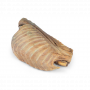 /modeles-d-anatomie-veterinaires-/cavite-thoracique-canine-cote-gauche-p-4004140.4-600x600.png