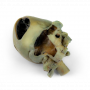 /modeles-d-anatomie-veterinaires-/coeur-de-chien-avec-dissection-p-4004141.1-600x600.png