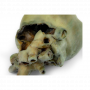 /modeles-d-anatomie-veterinaires-/coeur-de-chien-avec-dissection-p-4004141.4-600x600.png