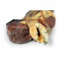 /modeles-d-anatomie-veterinaires-/demi-tete-canine-p-4004486.2-600x600.jpg
