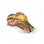 /modeles-d-anatomie-veterinaires-/demi-tete-canine-p-4004486.3-600x600.jpg
