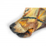 /modeles-d-anatomie-veterinaires-/demi-tete-canine-p-4004486.4-600x600.jpg