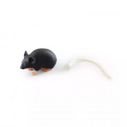 Mannequin de souris 