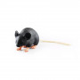 /modeles-d-anatomie-veterinaires-/mannequin-de-souris-p-4003988.1-600x600.jpg