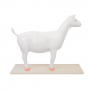/modeles-d-anatomie-veterinaires-/modele-anatomique-chevre-demontable-organes-amovibles-et-systeme-digestif-des-ruminants-formatio-p-4001602.1-600x600.jpg