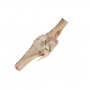 /modeles-d-anatomie-veterinaires-/modele-anatomique-du-genou-equin-grasset-p-4003898.1-600x600.jpg