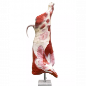 Modèle de 1/2 carcasse de taureau