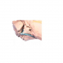 /modeles-d-anatomie-veterinaires-/modele-de-coupe-sagittale-de-la-tete-d-un-cheval-p-4003896.3-600x600.jpg