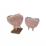 /modeles-d-anatomie-veterinaires-/modele-de-mamelles-de-vache-a-taille-reelle-p-4003980.2-600x600.jpg