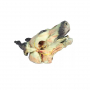 /modeles-d-anatomie-veterinaires-/modele-de-tete-de-chien-pour-dissections-superficielles-et-profondes-p-4003904.3-600x600.jpg