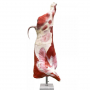 /modeles-d-anatomie-veterinaires-/modele-grandeur-nature-de-demi-carcasse-de-taureau-p-4003981.3-600x600.jpg