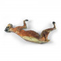 /modeles-d-anatomie-veterinaires-/specimen-de-chat-p-4004487.2-600x600.jpg