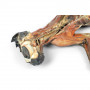 /modeles-d-anatomie-veterinaires-/specimen-de-chat-p-4004487.5-600x600.jpg