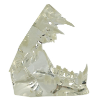 Modèle Anatomique Transparent Mâchoire de Chat – Étude Dentaire Féline Réaliste – Formation Vétérina Modèle Anatomique Transparent Mâchoire de Chat – Étude Dentaire Féline Réaliste – Formation Vétérina