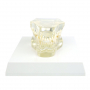 /modeles-dentaires-veterinaires/modele-anatomique-transparent-machoire-de-chien-etude-dentaire-canine-realiste-formation-veterin-p-4001609.1-600x600.jpg