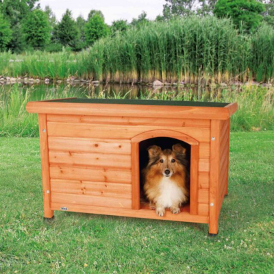 Niche en bois pour chien avec toit ouvrant – modèle incliné en pin verni