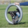 /obstacles-agility/anneau-gonflable-multifonctions-pour-chiens-p-4002633.1-600x600.jpg