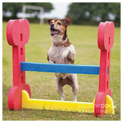 Haie d’agility indoor pour chien