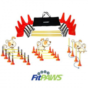 Jeu de Haies Agility Chien – Kit Complet Entraînement Sportif | VETERIMAT