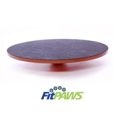 Planche d’équilibre pour chiens – Outil de proprioception et renforcement musculaire