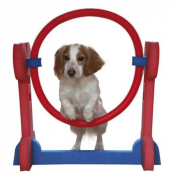 Pneu d'agility indoor pour chiens