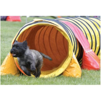 Sac de lestage à velcro pour agility – 28 kg, PVC résistant, conforme CNEAC/FCI Sac de lestage à velcro pour agility – 28 kg, PVC résistant, conforme CNEAC/FCI